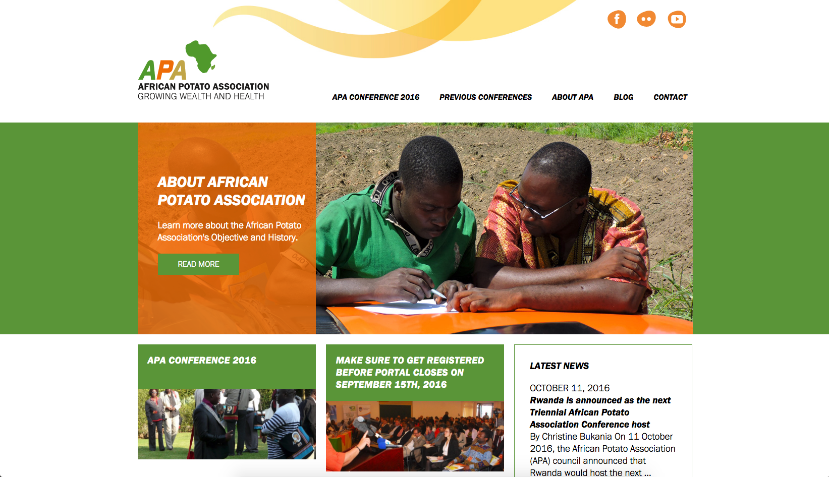 Mobiles Website Mockup für African Potato Organisation von ONEWORX 5