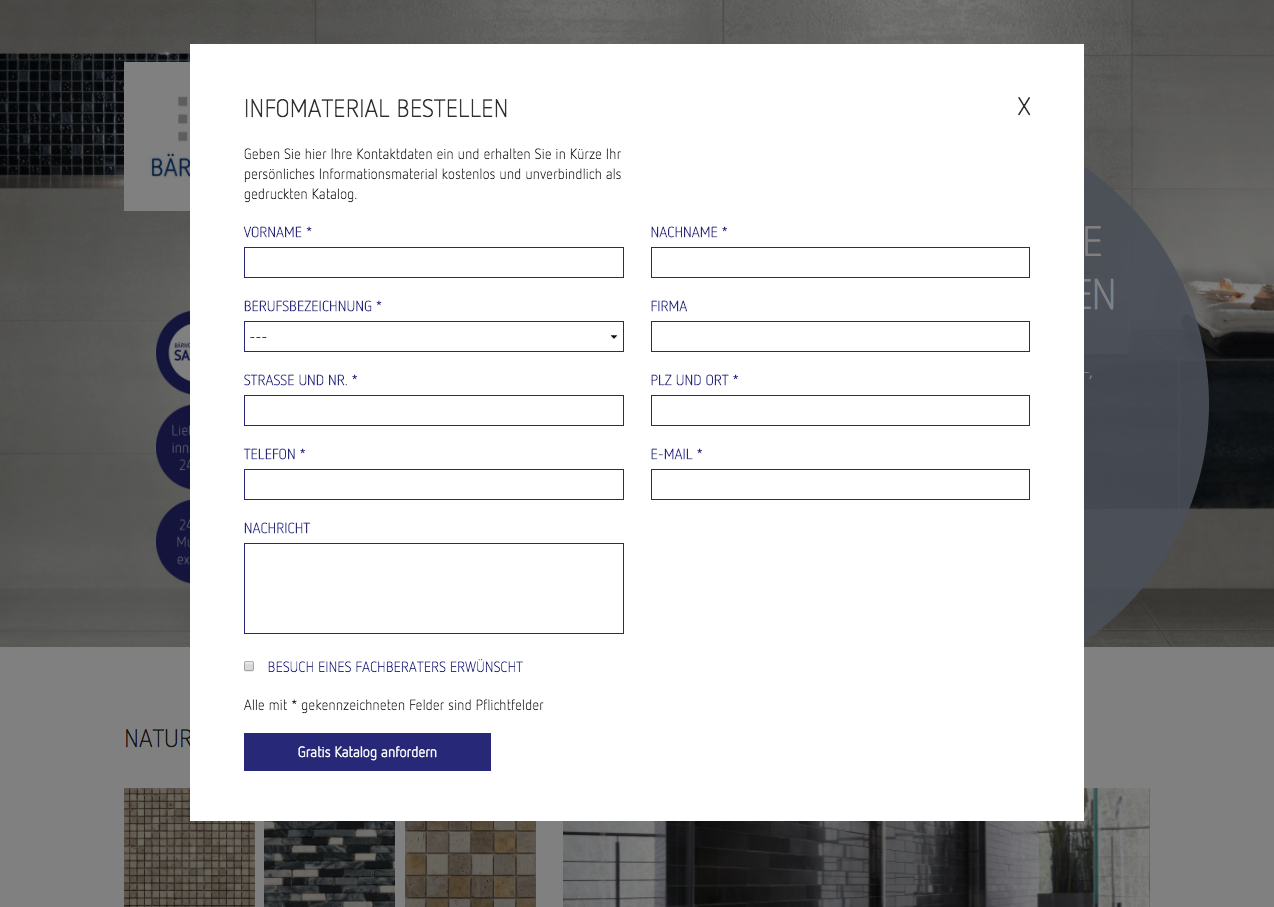 BÄRWOLF Landingpage Kontaktformular-Design für Suchmaschinenwerbung